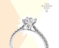 The Diamond Ring Company image 1